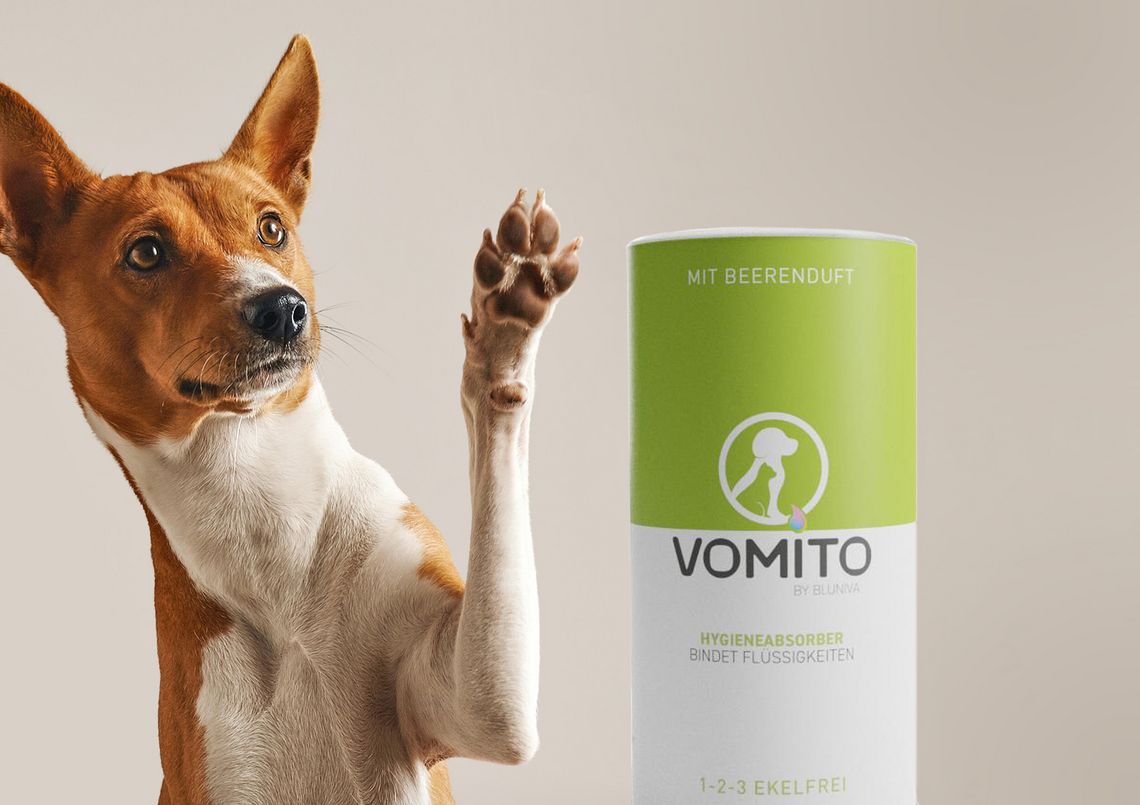 Hund mit Vomito-Produkt