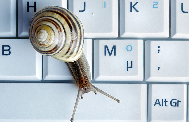 Schnecke auf einer Tastatur