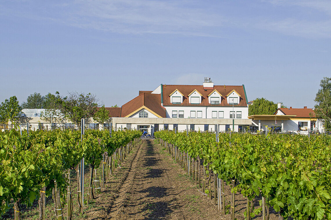 Außenansicht Hotel Nationalpark im Seewinkel mitten in den Weingärten