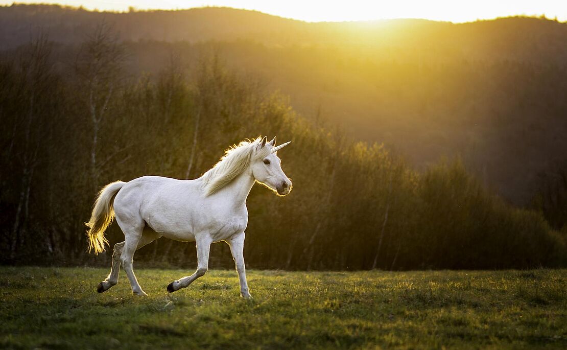 Weißes Einhorn, das über Wiese läuft