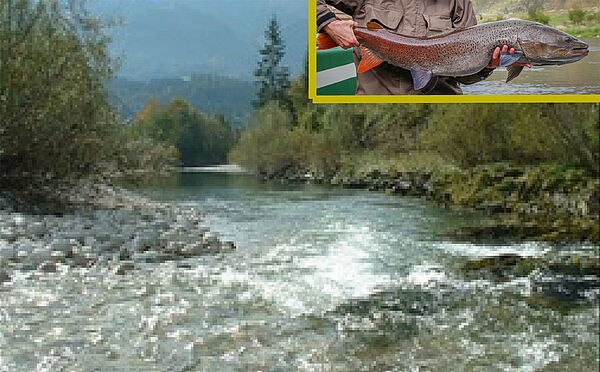 FLIEGENFISCHEN KÄRNTEN: