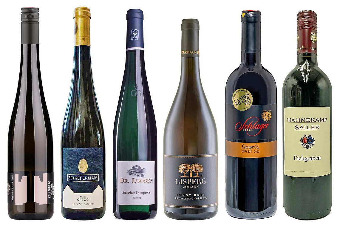 Weine des Monats Oktober 2025
