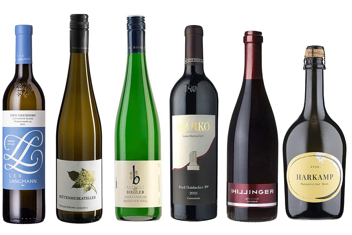 Foto Weine des Monats März 2026