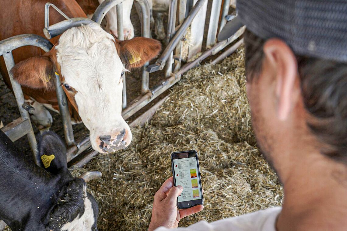 Nach Turbulenzen zum Höhenflug