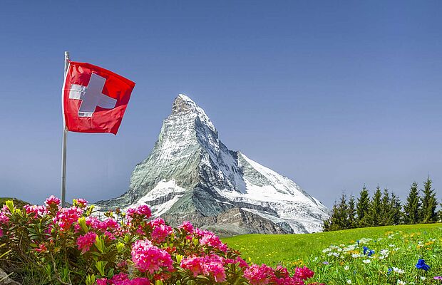 Almrausch und Wiese mit schweizer Flagge im Vordergrund, dahinter Bergspitze