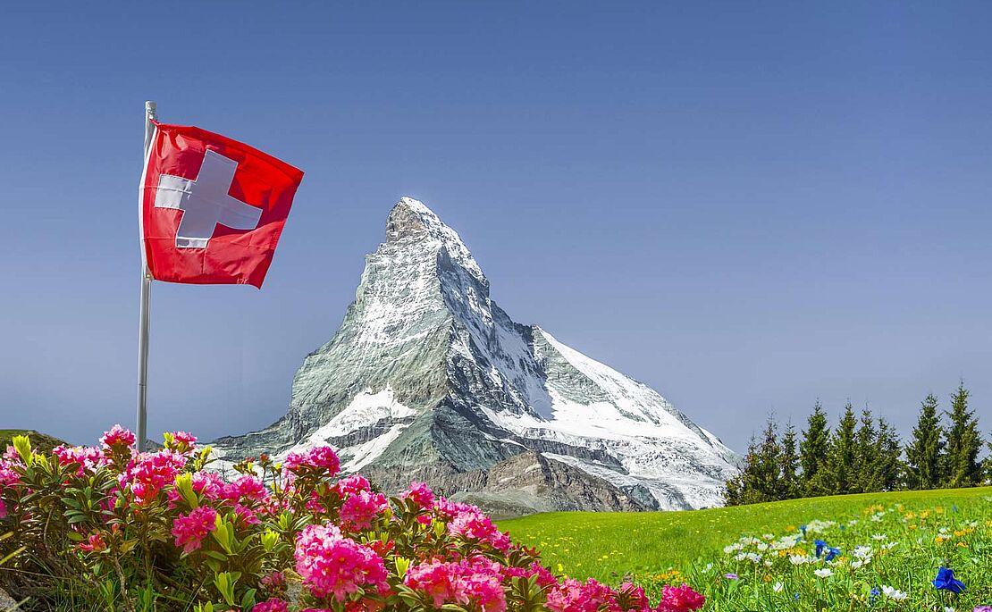 Almrausch und Wiese mit schweizer Flagge im Vordergrund, dahinter Bergspitze