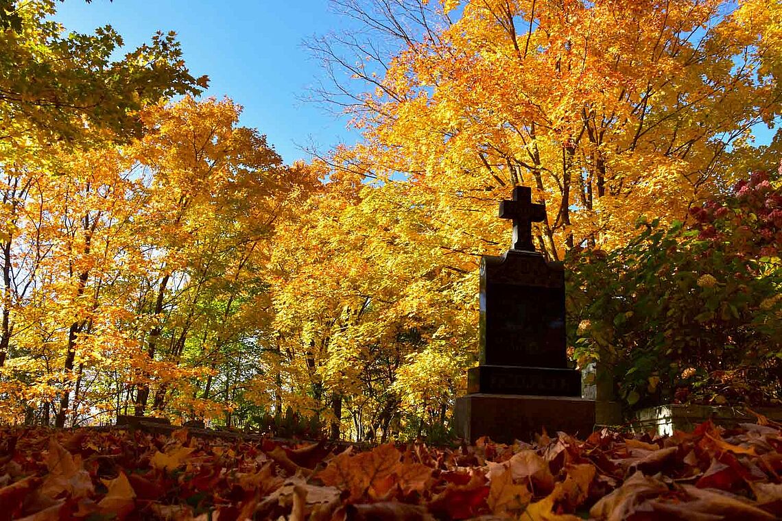 Versichert für das Begräbnis seiner Wünsche