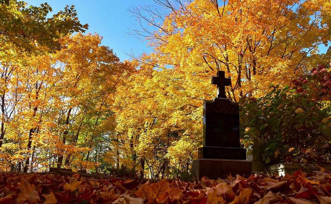 Gelber Herbstwald, blauer Himmel im Hintergrund, Grabstein im Vordergrund