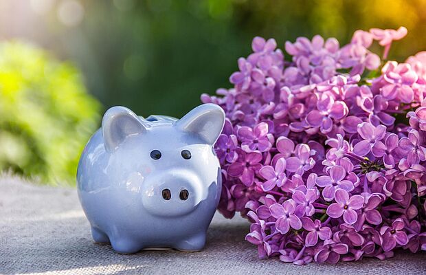 Blaues Sparschwein und lila Flieder