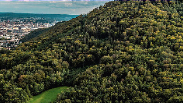 Eigenjagd – GRAZ/GÖSTING: