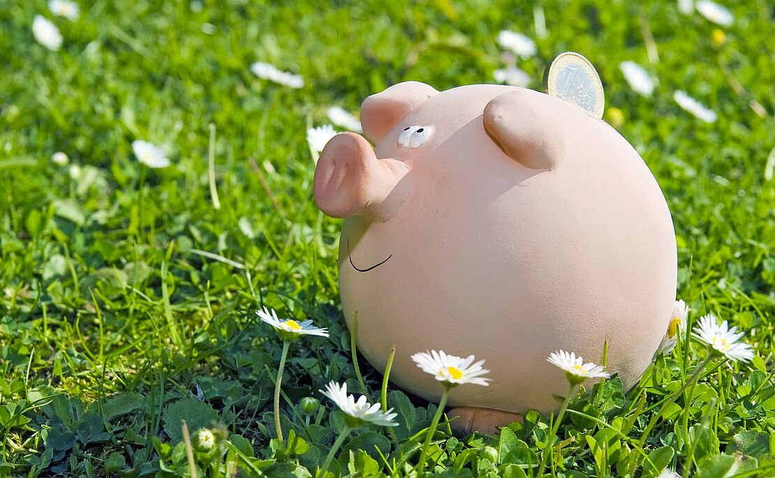 Sparschwein in einer Gänseblümchenwiese