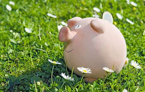 Sparschwein in einer Gänseblümchenwiese