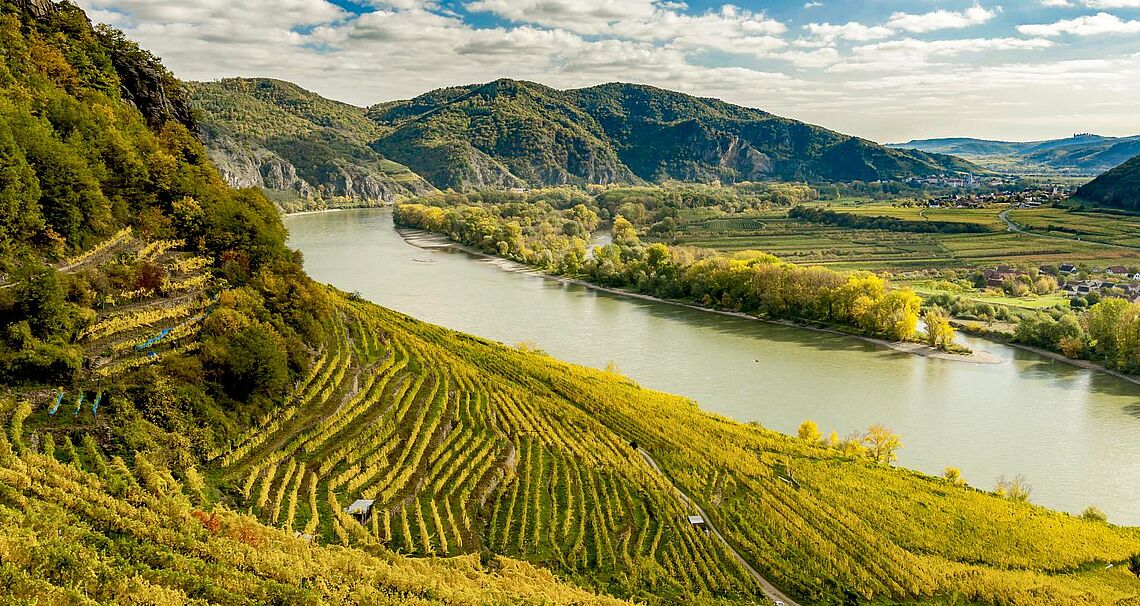 DAC – wohin geht der Weinweg?