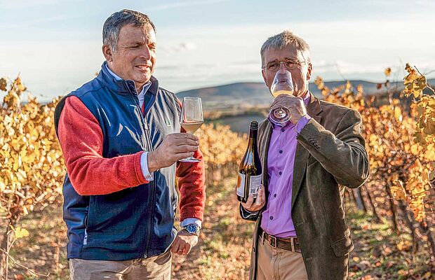 Foto von Andreas Gruber und Maximilian Hardegg mit Gläsern in der Hand, im Weingarten stehend