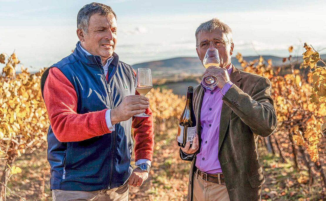 Foto von Andreas Gruber und Maximilian Hardegg mit Gläsern in der Hand, im Weingarten stehend