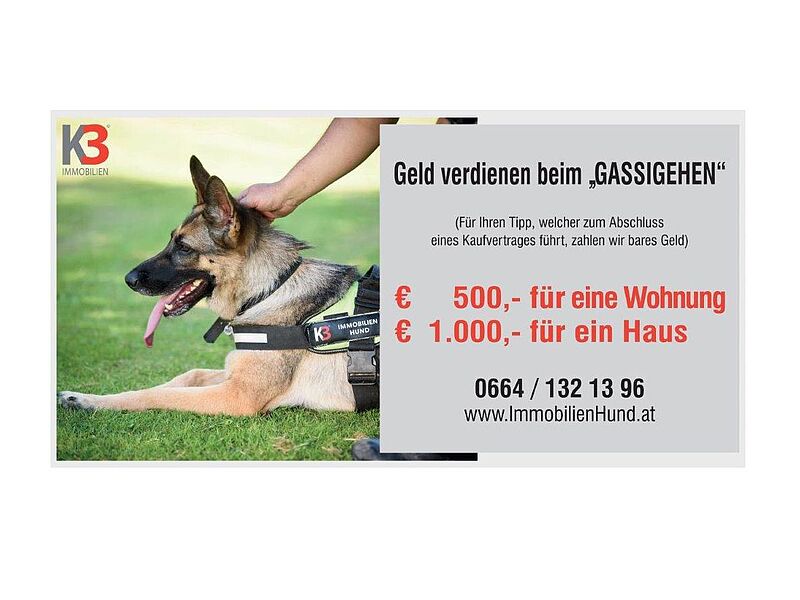 K3 Immobilien Austria GmbH / Immobilienhund