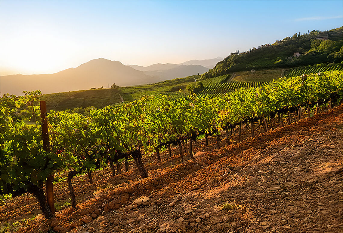 Warum jetzt der richtige Zeitpunkt für Quality Growth-Aktien ist