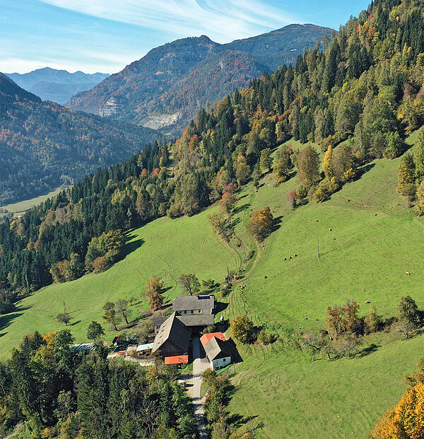 Bauernhof mit Eigenjagd