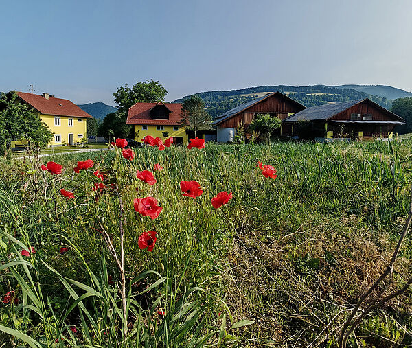 Idyllisches Landleben in Feldkirchen