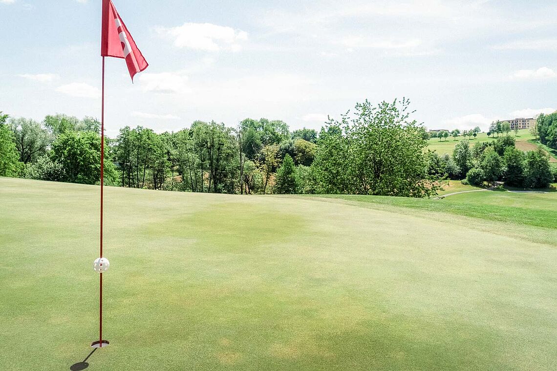 Foto vom Golfplatz Golfschaukel in Stegersbach