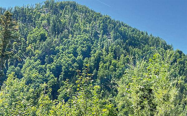 KÄRNTEN