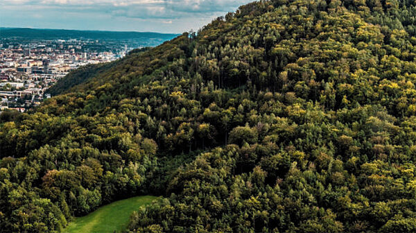 STEIERMARK/GRATKORN: 150 ha Eigenjagd