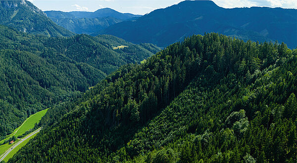 Eigenjagd – FROHNLEITEN: