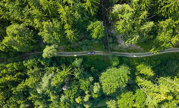 Eigenjagd – Teichalm