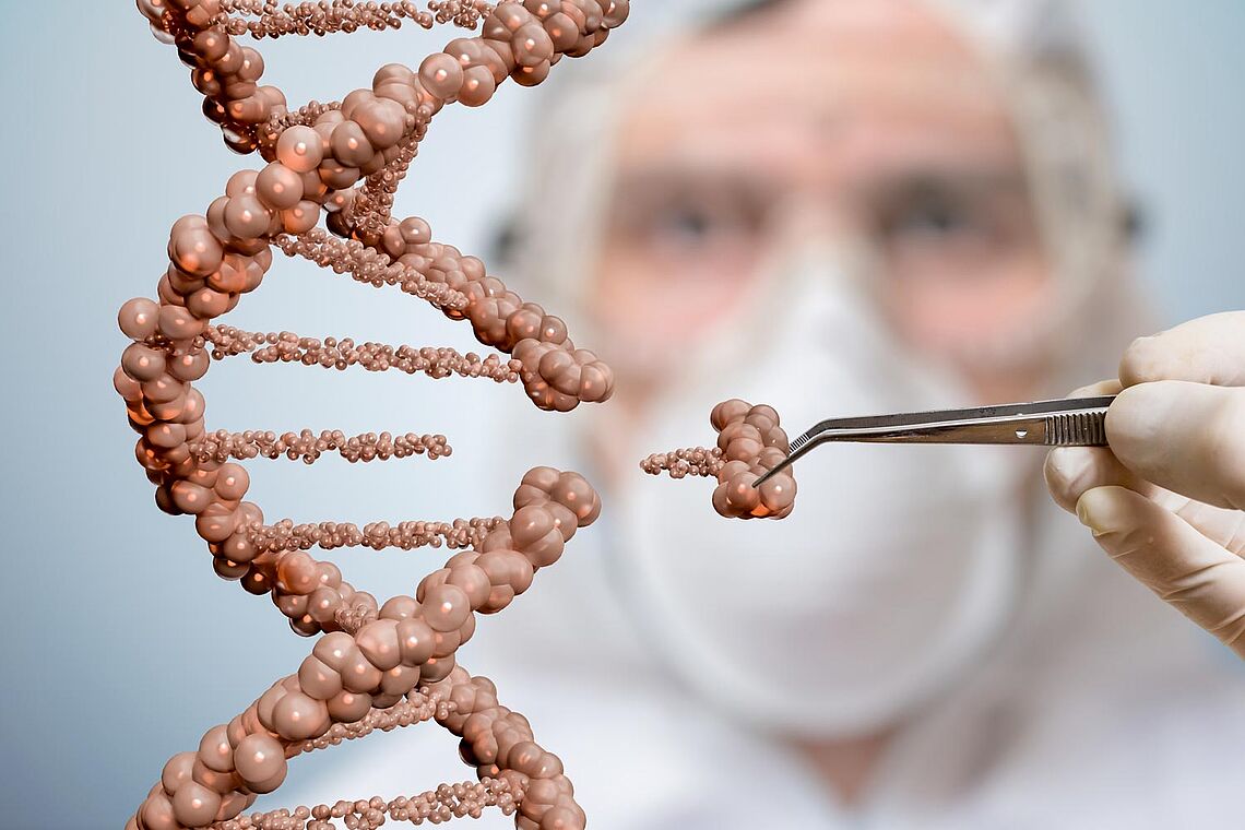 Longevity als neues Investmentthema