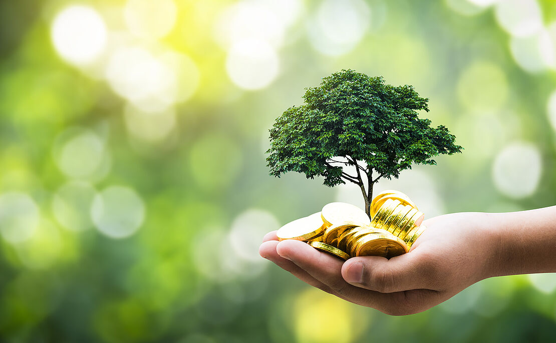 Hand mit Geld und Baum
