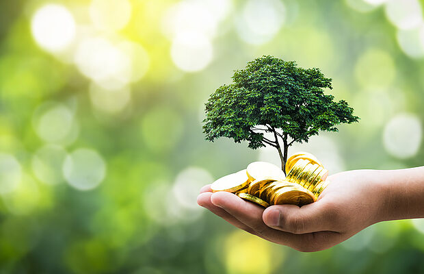 Hand mit Geld und Baum