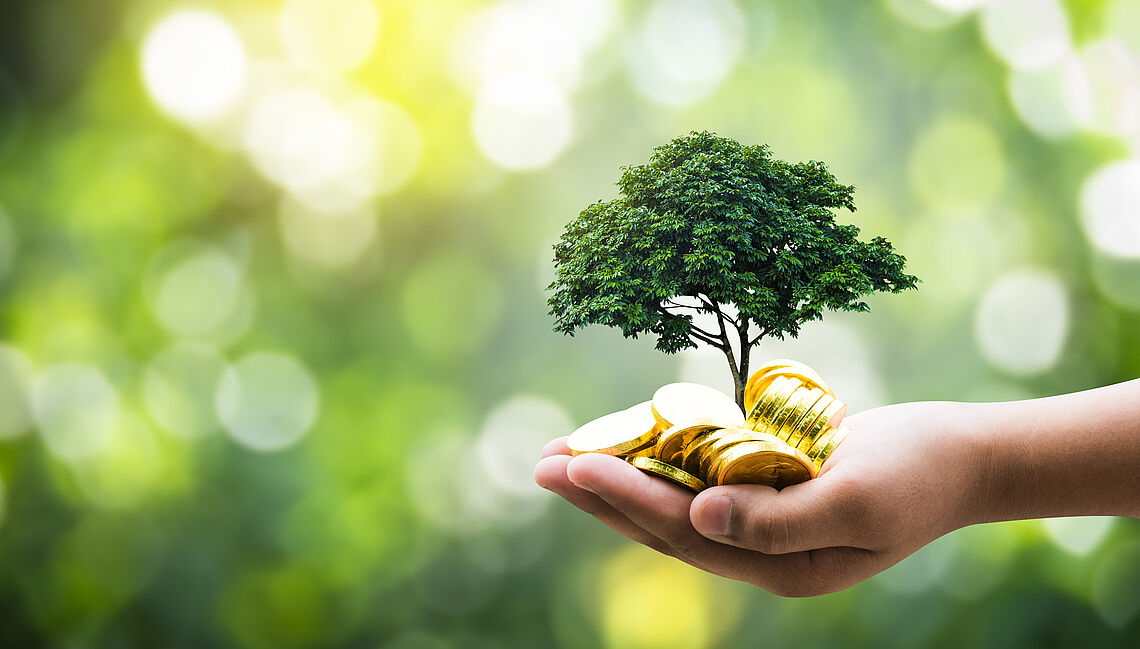 Hand mit Geld und Baum