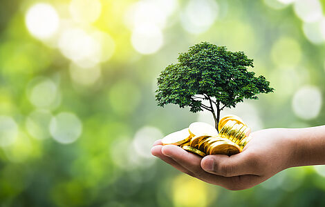Hand mit Geld und Baum