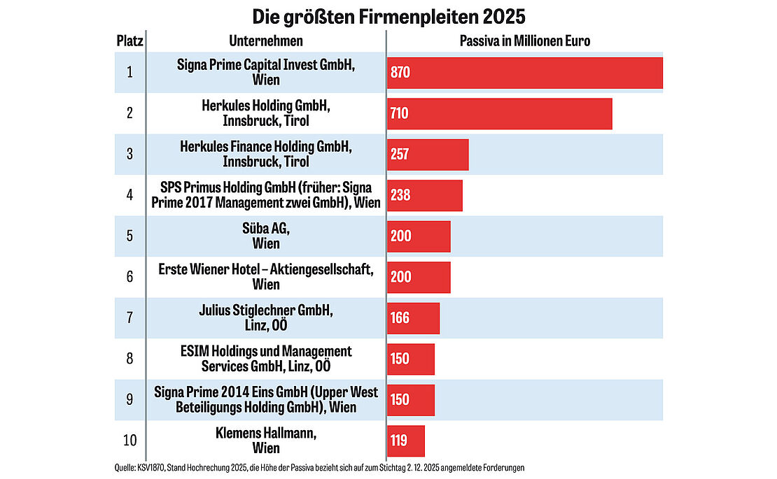 Balkendiagramm: Die größten Firmenpleiten 2025