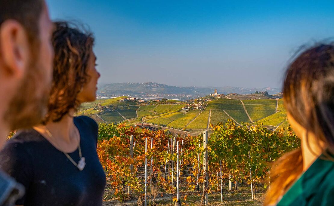 Bllick auf die Weinhügel der Langhe im italienischen Piemont