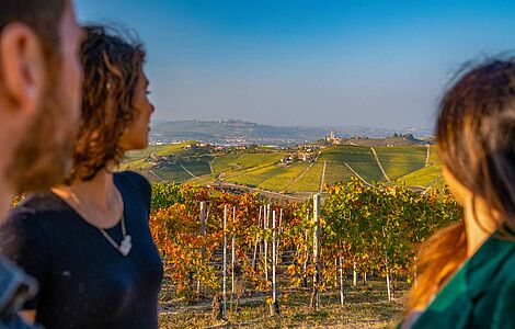 Bllick auf die Weinhügel der Langhe im italienischen Piemont