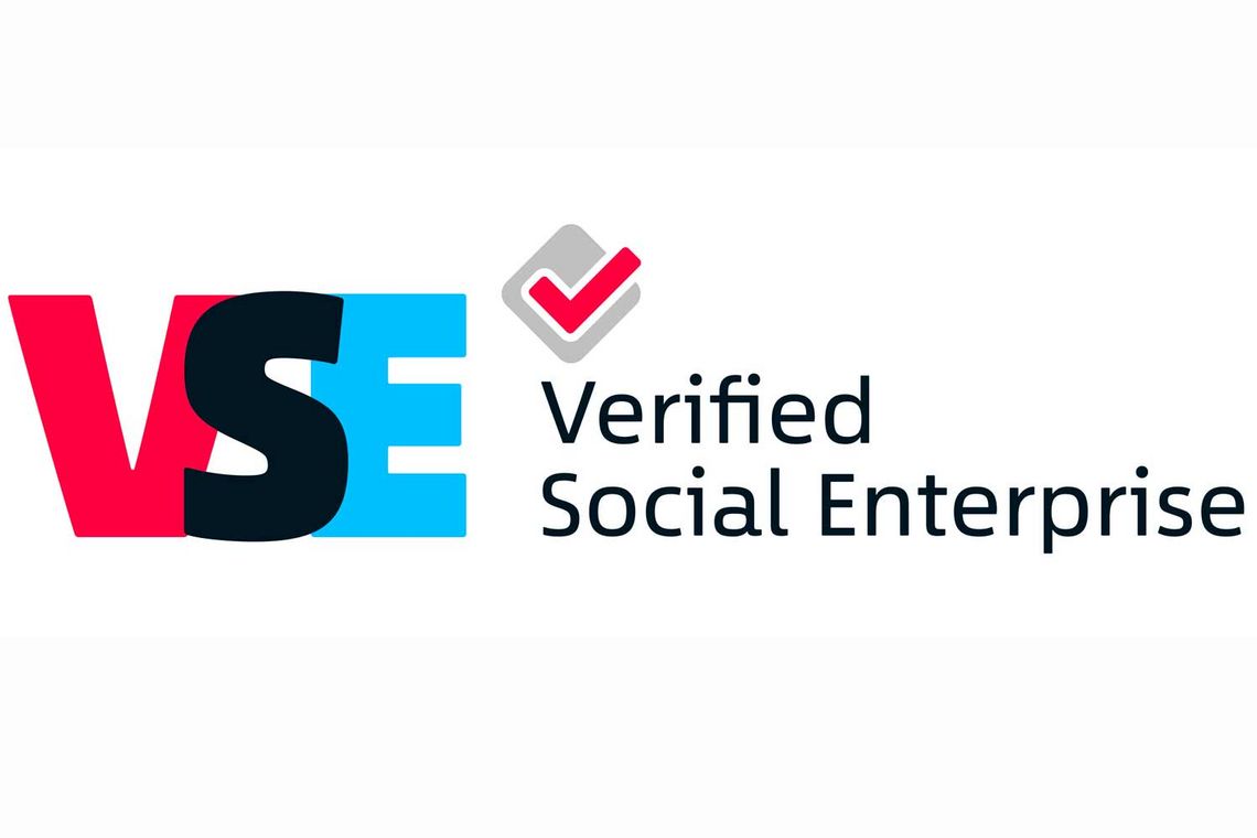 Das VSE Logo