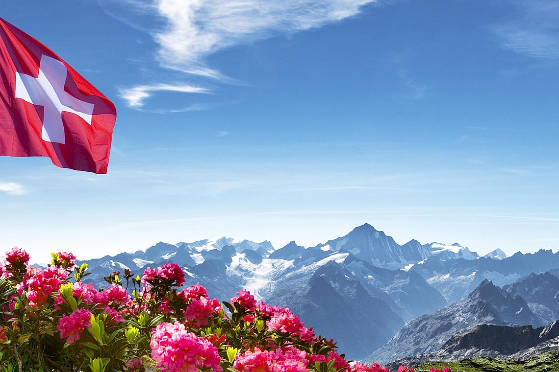 Schweizerflagge vor Bergen und Blumen